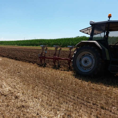 aratura con aratro trivomere