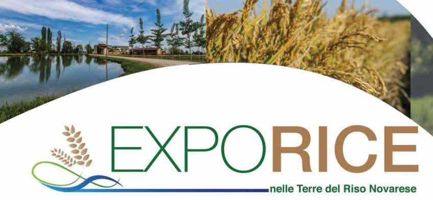 exporice 2017 novara