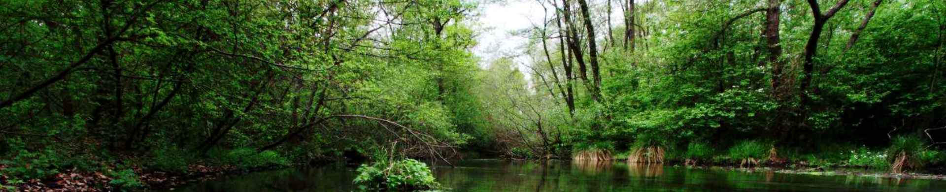 Parco Ticino Piemonte